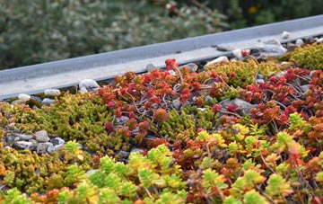 the cost of Irvine green roof installation