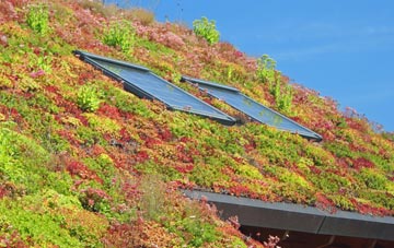 Irvine living roof systems