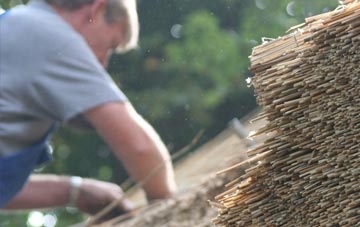 professional Irvine thatchers